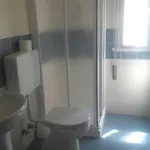 Majestic